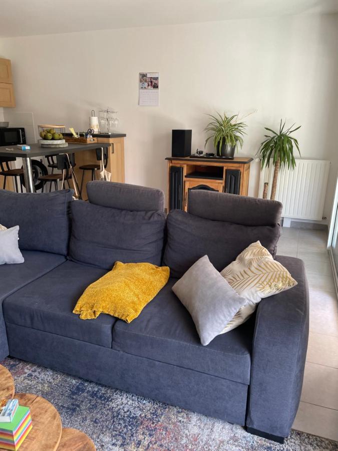 Appartement Avec Terrasse Proche De Rennes Saint-Jacques-de-la-Lande Exteriör bild