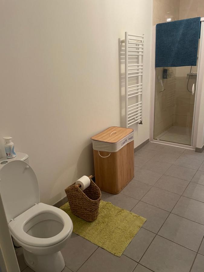 Appartement Avec Terrasse Proche De Rennes Saint-Jacques-de-la-Lande Exteriör bild